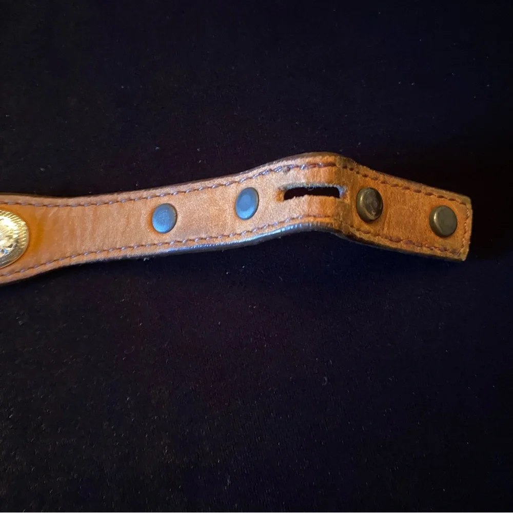 Brown Leather Belt with 7 Silver Accents